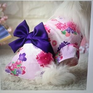 Kimono for dogs